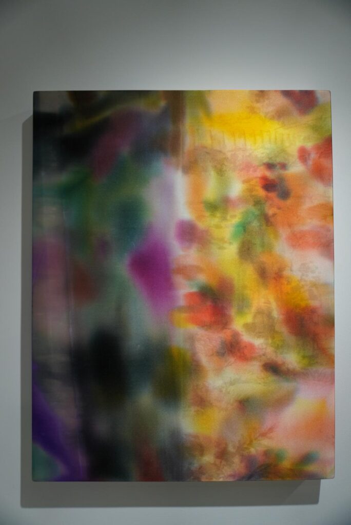 Kentaro Yokouchi Fabric of Perception exhibition Kenji Taki Gallery