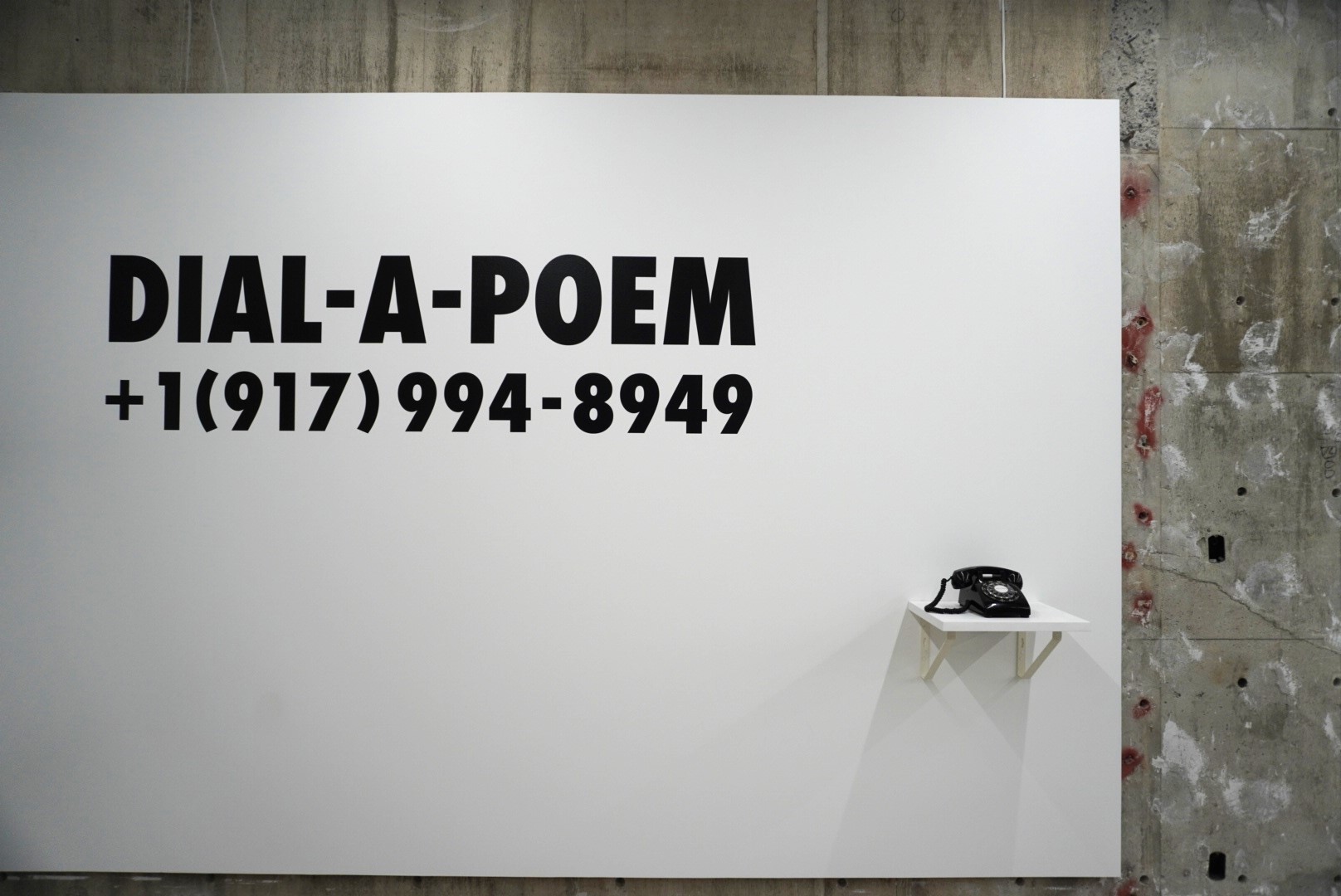 Rabbit hole museum private collection